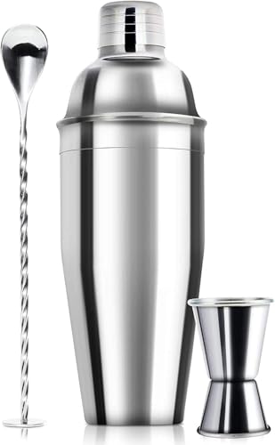 WPHUAW 24oz Cocktail Shaker Bar Set stainless steel