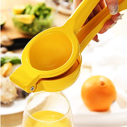 Close up of Y-me juicer bowl design