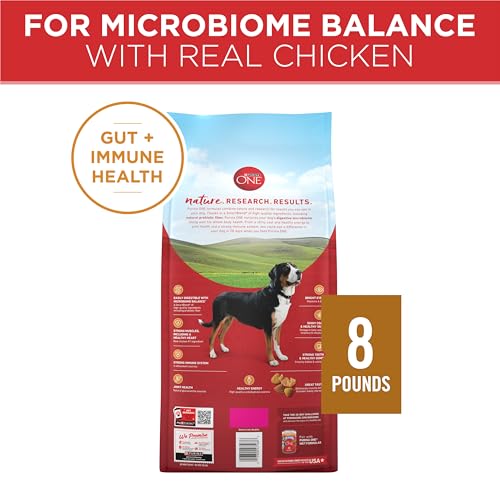 Purina ONE 8 lb bag promotional shot