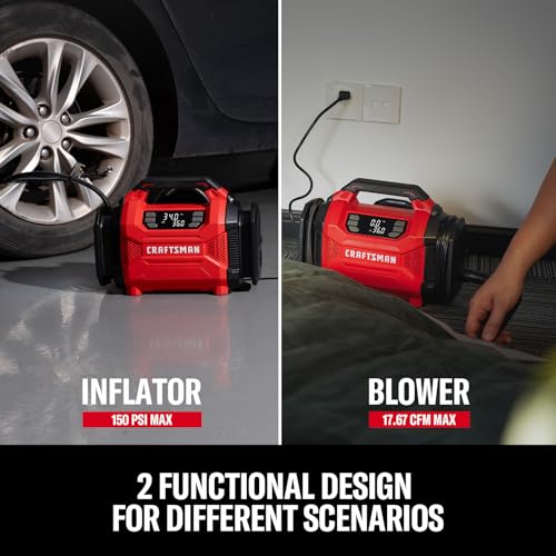 Portable carry bag for tire inflator