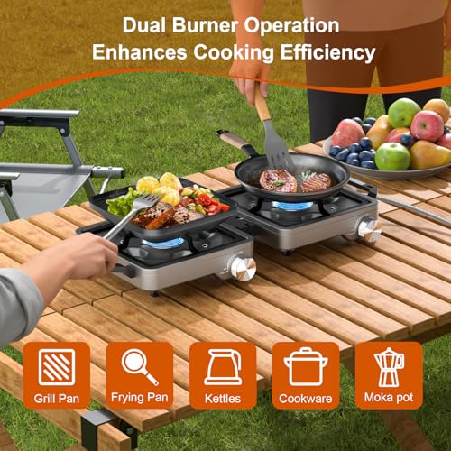 Portable gas stove with windshield panels