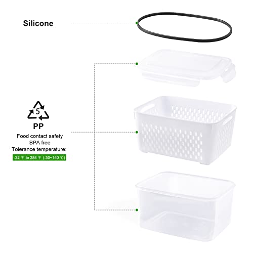 Freshmage fruit storage set in a kitchen fridge