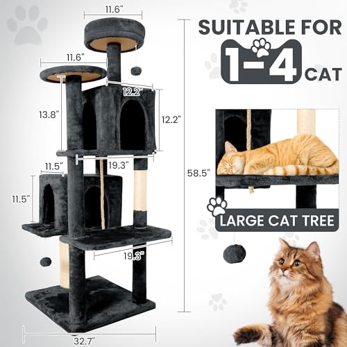 Close up of cat condo entrance on TSCOMON tree