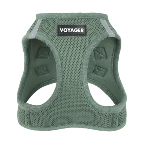 Best Pet Supplies Voyager Step-in Air Dog Vest Harness Moss Green