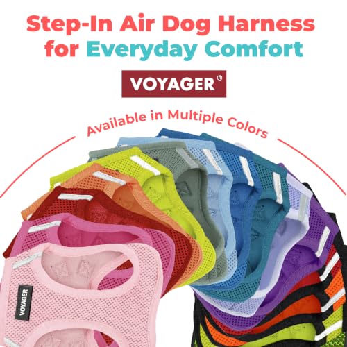 Best Pet Supplies harness on a small dog