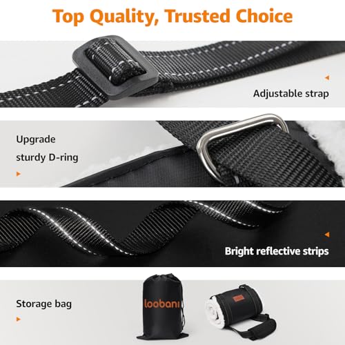 Owner using LOOBANI sling to assist a large dog