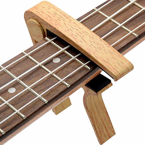 Retail packaging for WINGO guitar accessory