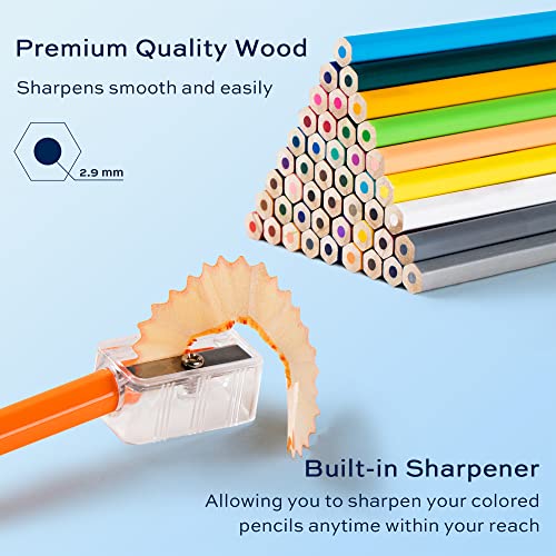 Finenolo pencils arranged for adult coloring