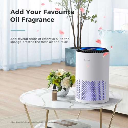 Air purifier 360 degree intake vents