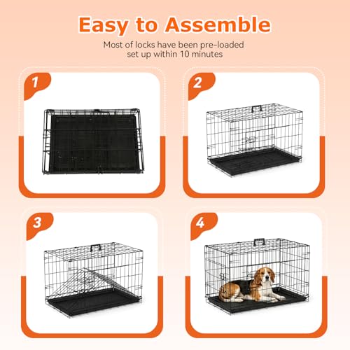 Folded FDW wire dog cage for storage