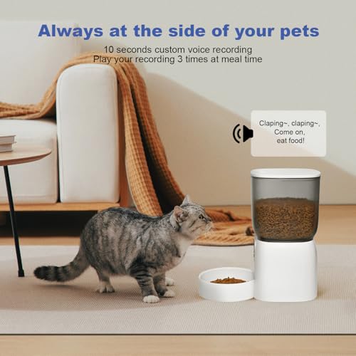 Pet feeder power supply and battery compartment