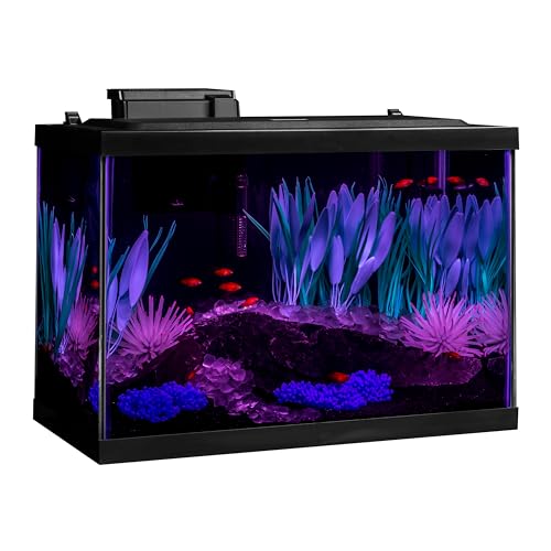Full tank setup with decor