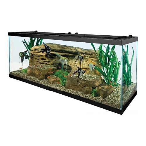 Tetra 55 gallon tank front profile