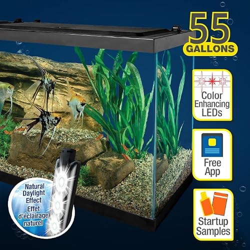 Side profile of Tetra 55 gallon glass tank
