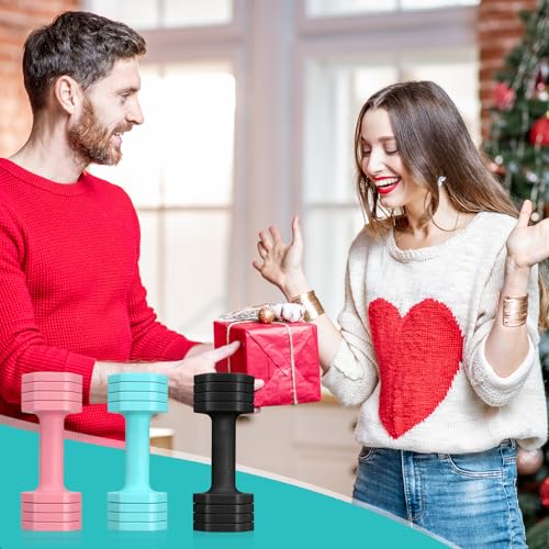 Set of two Equipro adjustable dumbbells for home gym