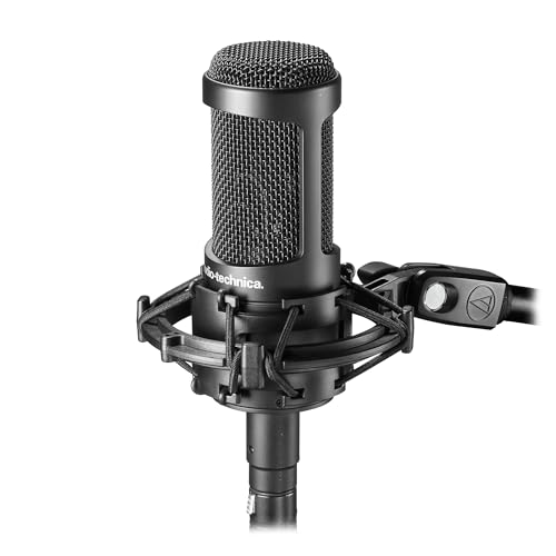 Audio-Technica AT2035 microphone with custom shock mount