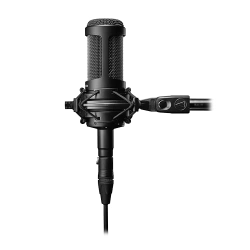 Close up of Audio-Technica AT2035 switches and build