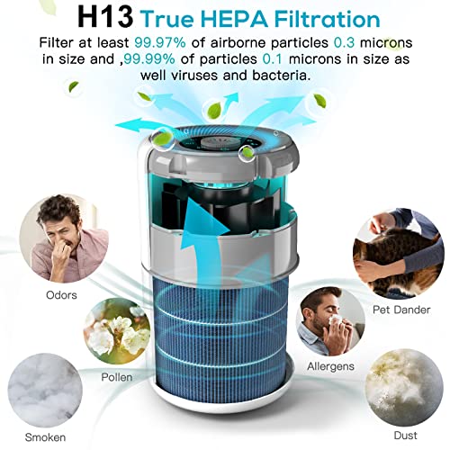 Top view of air purifier controls