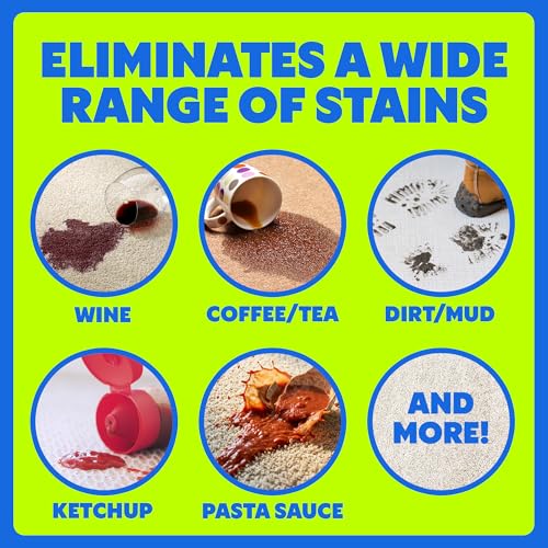 SHOUT foam removing stain from rug