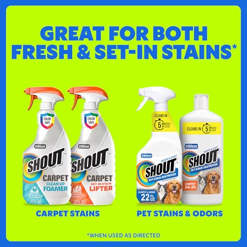 Clean carpet spot treated with SHOUT