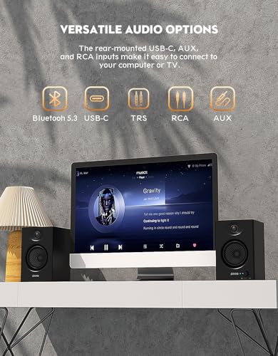 OHAYO speakers front volume control knob