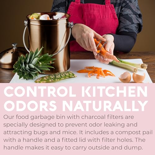 Epica compost bin charcoal filter compartment