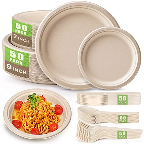 Gezond 250 piece compostable dinnerware set