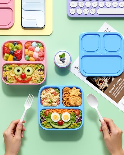 Full Canfanni 4 Pcs Bento Box Set contents