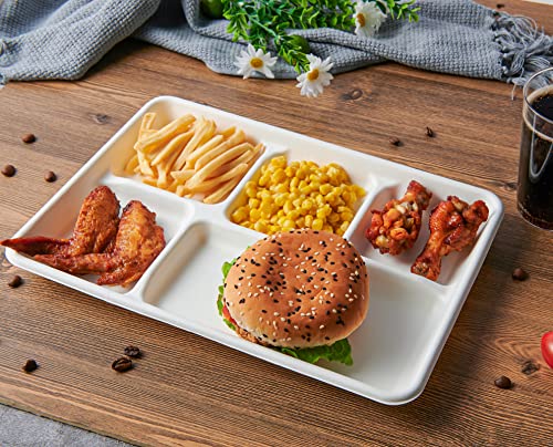 Top view of Vplus 5 compartment disposable tray