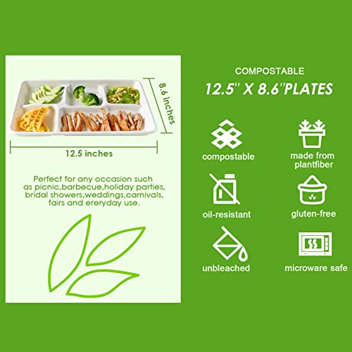 Close up of sugarcane fiber texture on Vplus plate