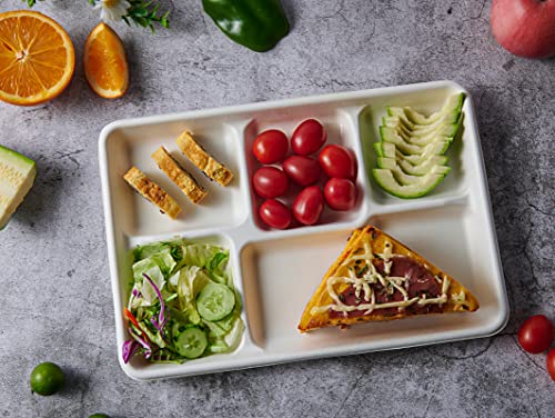 Vplus lunch tray holding various food items