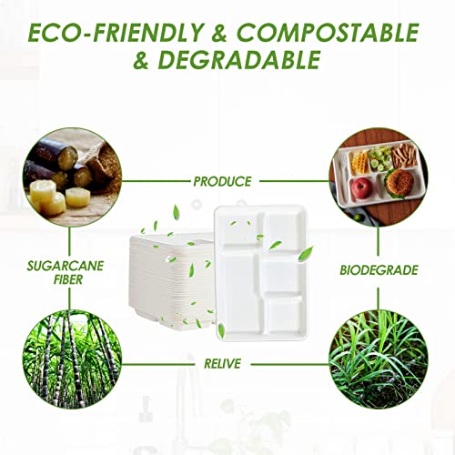 Side profile of sturdy Vplus compostable tray