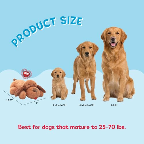 Snuggle Puppie Biscuit toy with heat pack