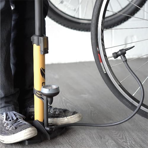 Pump base and stand