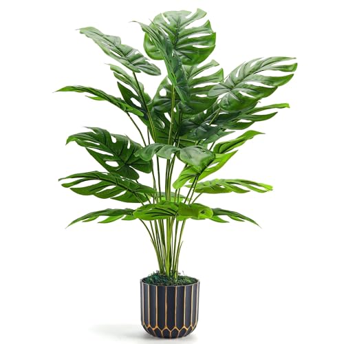 Der Rose 28 inch Monstera plant in gold and black pot