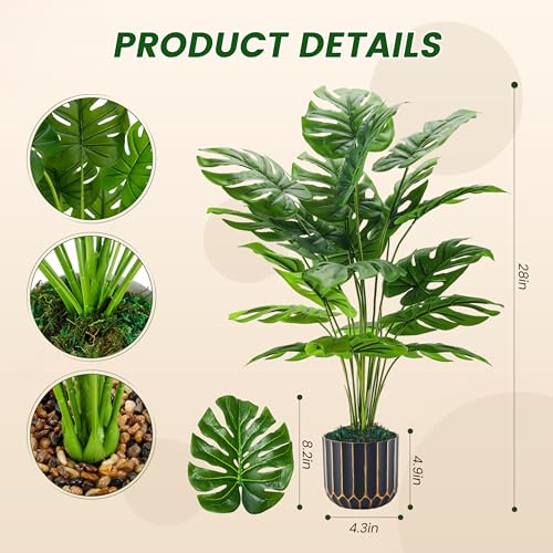 Close up of realistic monstera leaves