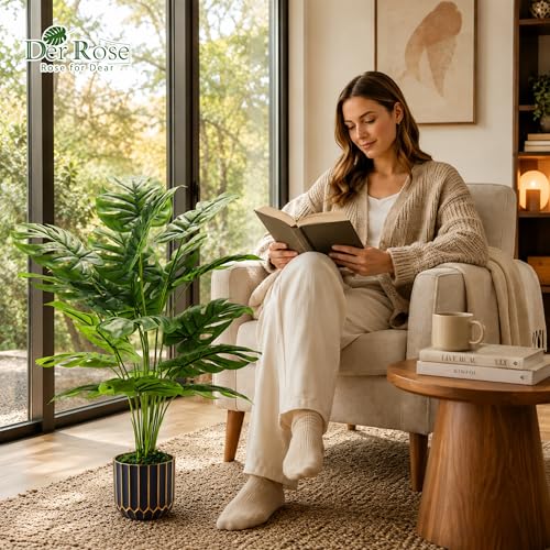 Der Rose Monstera in a living room corner