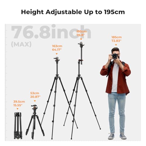 360-degree ball head detail on K&F Concept tripod