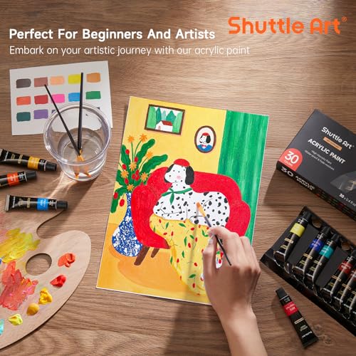 Shuttle Art paint set artistic application
