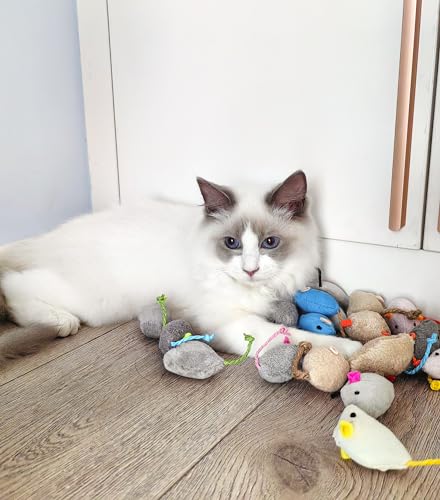 Cat batting at a plush mouse toy