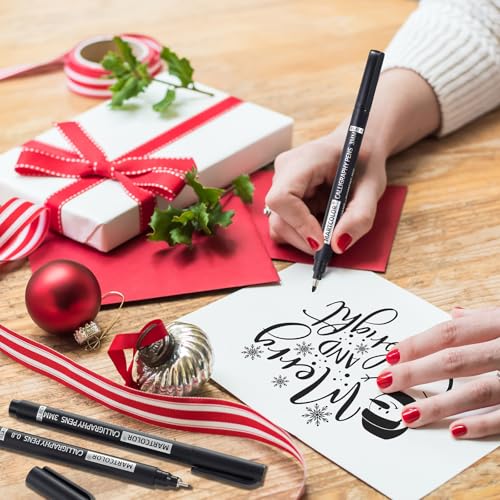 MARTCOLOR M845-10 calligraphy set for artists