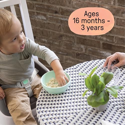 Booster seat removable foam insert