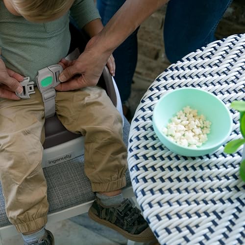 Ingenuity feeding chair safety harness detail