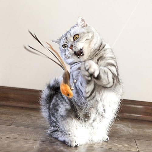 Detailed view of the miwoowim cat wand fishing pole