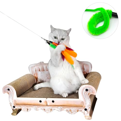 Interactive cat play session with miwoowim wand
