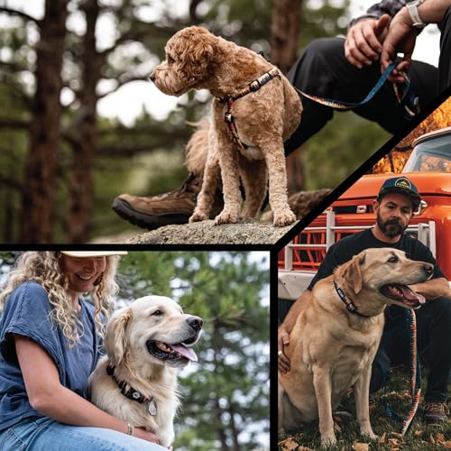 Full display of Wolfgang dog collar in Overland print