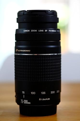 Side profile of Canon EF 75-300mm telephoto lens