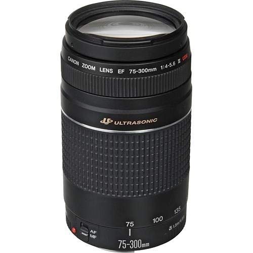 Back view of Canon EF 75-300mm lens mount