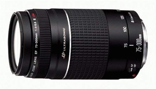 Canon EF 75-300mm lens with front element
