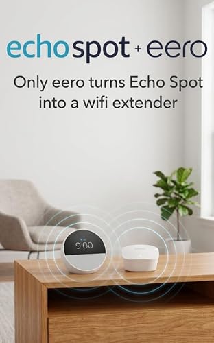 Echo Spot rear view showing finish